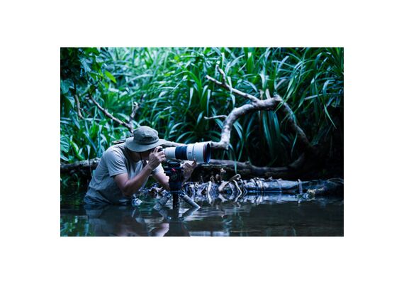 SONY FE 300m f/2.8 GM OSS