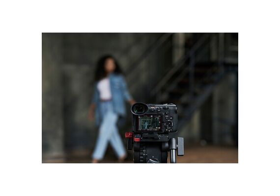 SONY FX2 - Corpo