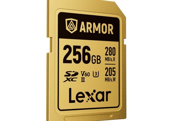LEXAR SDXC ARMOR GOLD 280Mb/s Classe 10 V60 U3 UHS-II - 256GB