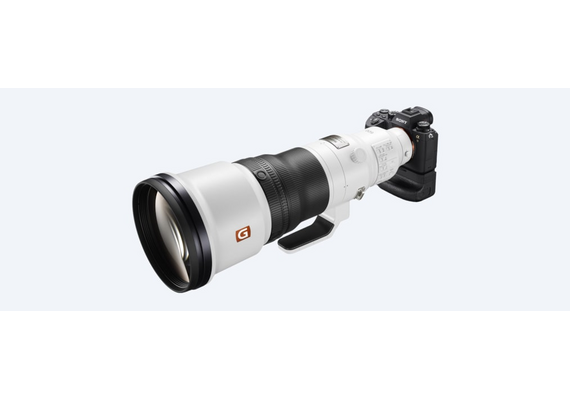 SONY FE 600mm f/4 GM OSS