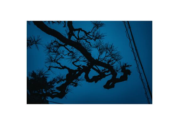 SIGMA 17-40mm f/1.8 DC Art L-Mount