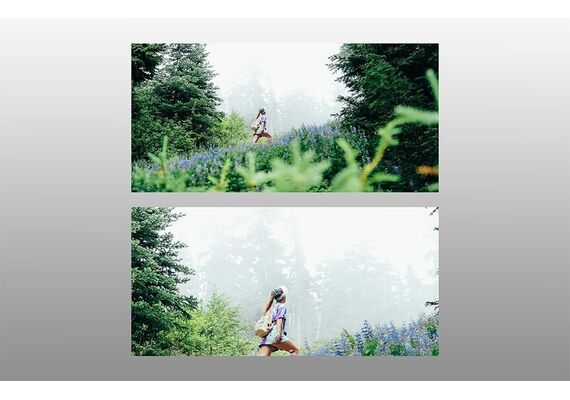 FREEWELL Lente Telefoto 1.5x para Fujifilm X100V/X100VI