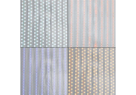 FALCON EYES Painel LED RGB RX-718 III-K1 - 62x47cm