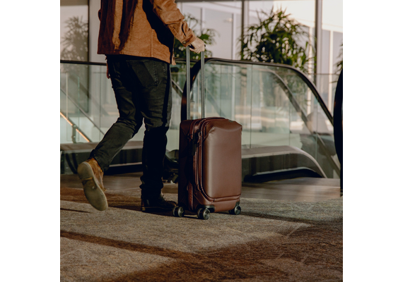 PEAK DESIGN Trolley ROLLER PRO CARRY-ON - Eclipse