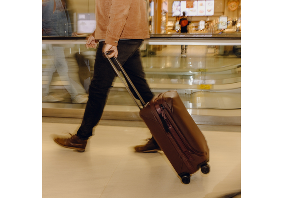 PEAK DESIGN Trolley ROLLER PRO CARRY-ON - Eclipse