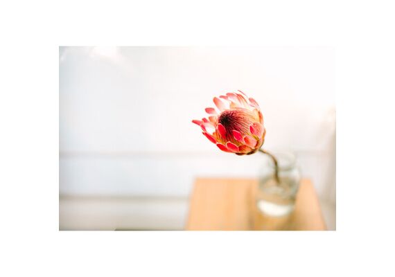 SIGMA 35mm f/1.2 DG II Art L-Mount