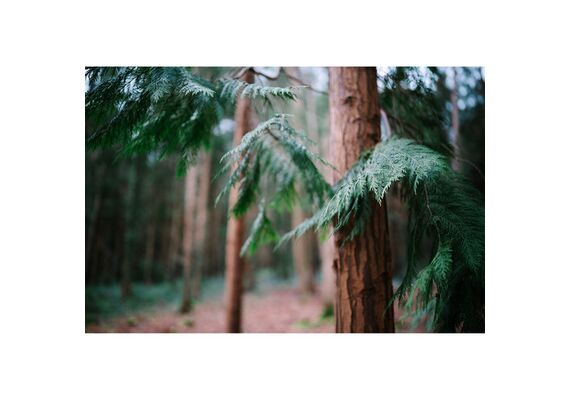 SIGMA 35mm f/1.2 DG II Art Sony-E