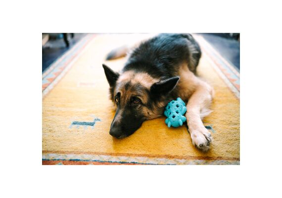 SIGMA 35mm f/1.2 DG II Art L-Mount