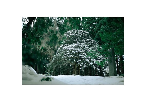 SIGMA 35mm f/1.2 DG II Art L-Mount
