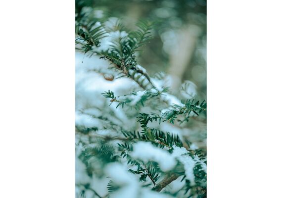 SIGMA 35mm f/1.2 DG II Art L-Mount
