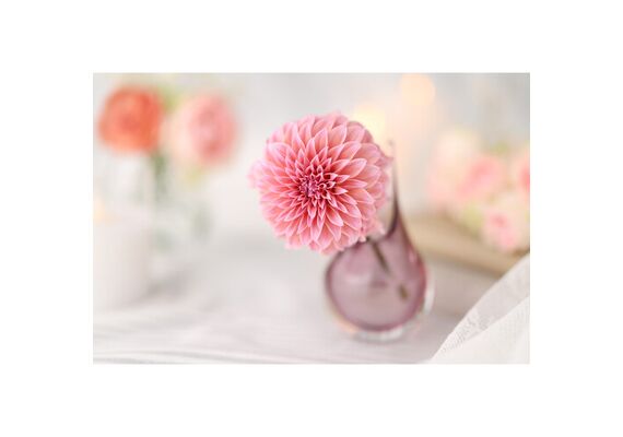 CANON RF 85mm f/1.4L VCM