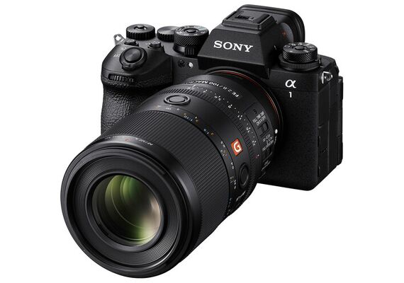 SONY FE 100mm f/2.8 Macro GM