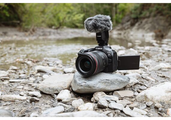 CANON EOS R6 Mark III + RF 24-105mm f/4-7.1 IS STMCANON EOS R6 Mark III + RF 24-105mm f/4-7.1 IS STM