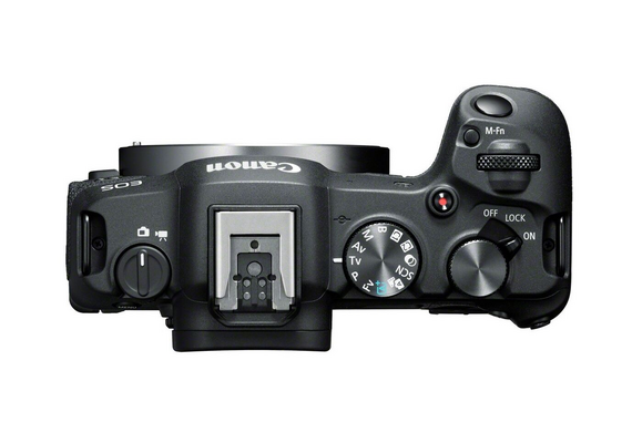 CANON EOS R8 + RF 24-105mm f/4-7.1 IS STM