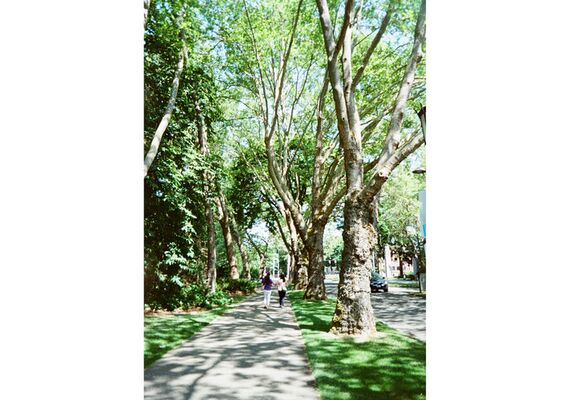 KODAK Câmera Fotográfica Analógica Half-Frame Reutilizável Ektar H35N - Preto