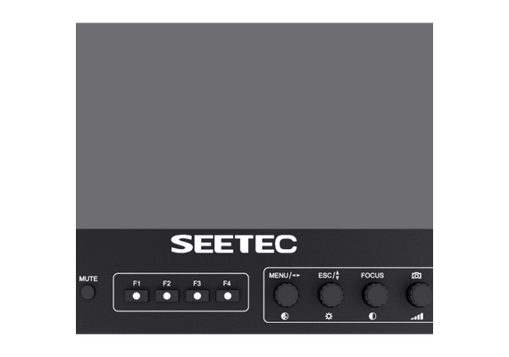 SEETEC Monitor FS215-S4K 17.3"