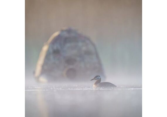 BUTEO PHOTO GEAR Abrigo Flutuante II Camuflado