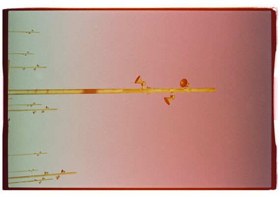 DUBBLEFILM Rolo 35mm Stereo 200 ISO - 36 Exposições