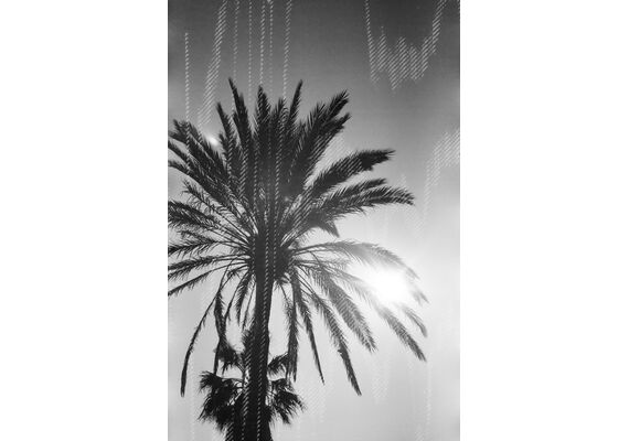 DUBBLEFILM Rolo 35mm Glitch 200 ISO - 36 Exposições