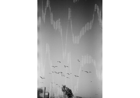 DUBBLEFILM Rolo 35mm Glitch 200 ISO - 36 Exposições