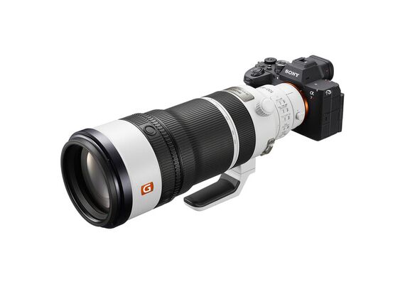 SONY FE 100-400 f/4.5 GM OSS