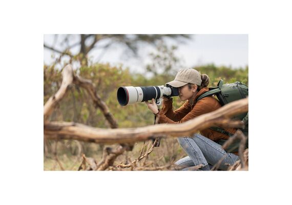SONY FE 100-400 f/4.5 GM OSS