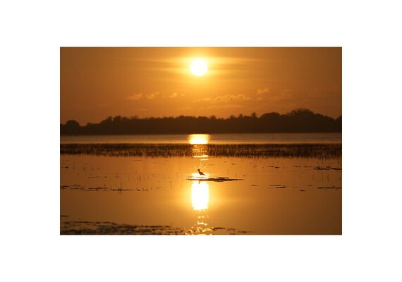 SONY FE 100-400 f/4.5 GM OSS