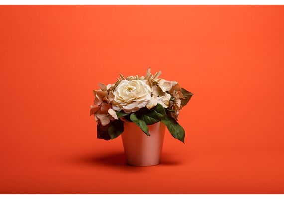 #39 BRIGHT ORANGE - 2.72x11m1