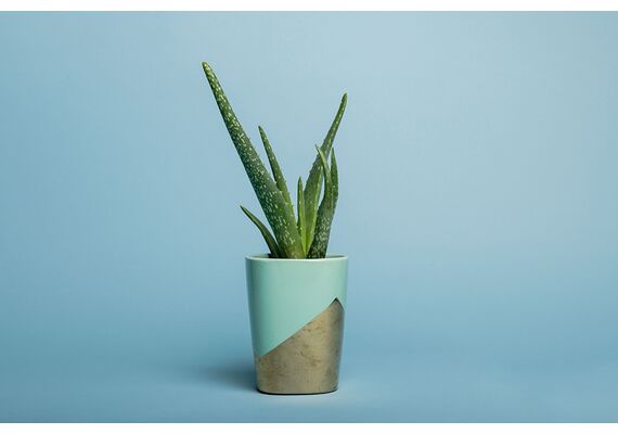 #02 SKY BLUE - 2.72x11m3